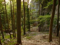 2013-07-13_Regina-F-Rau_Sonnenspitze3 (276).JPG